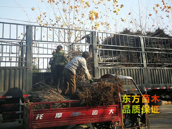裝車現(xiàn)場